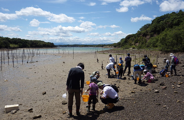 干潟いきもの観察会