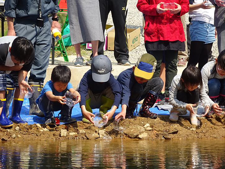 カワバタモロコ放流の様子