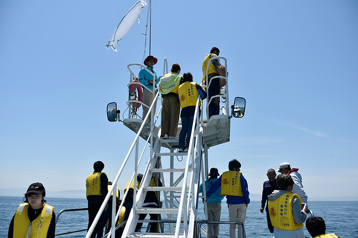 大阪湾スナメリ調査の様子