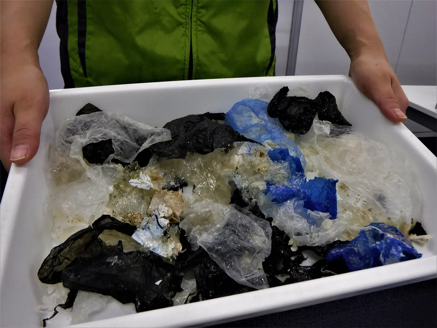 排泄されたプラスチックごみ