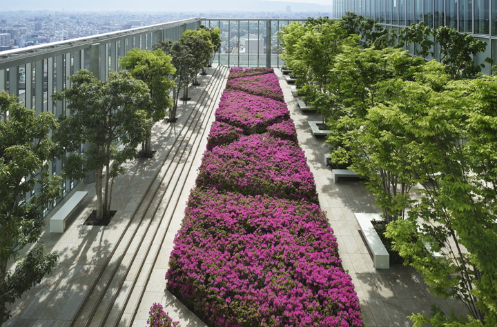 屋上庭園（１６Ｆ）