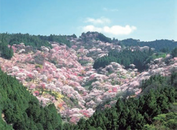吉野熊野国立公園
