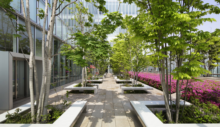 屋上庭園（１６Ｆ）