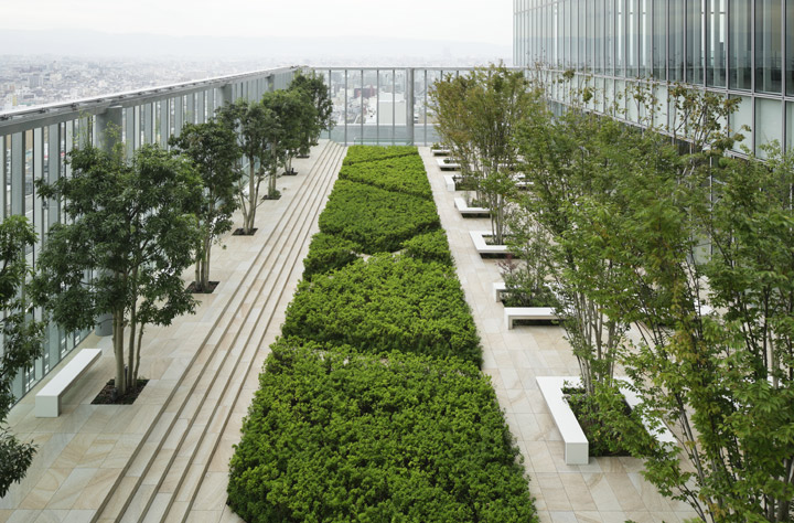 屋上庭園（１６Ｆ）