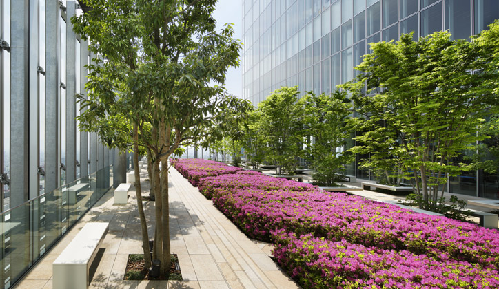 屋上庭園（１６Ｆ）