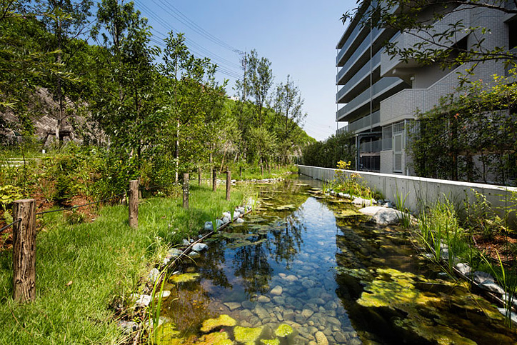 ビオトープとふれあいの森