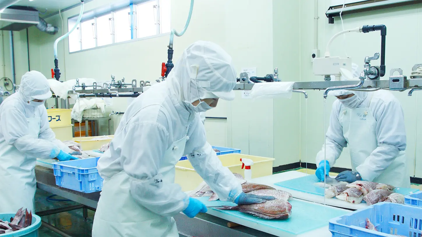 鮮魚加工（松原センター）
