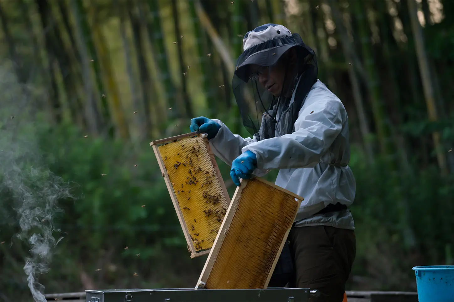 鈴鹿山麓で作業する川村さん