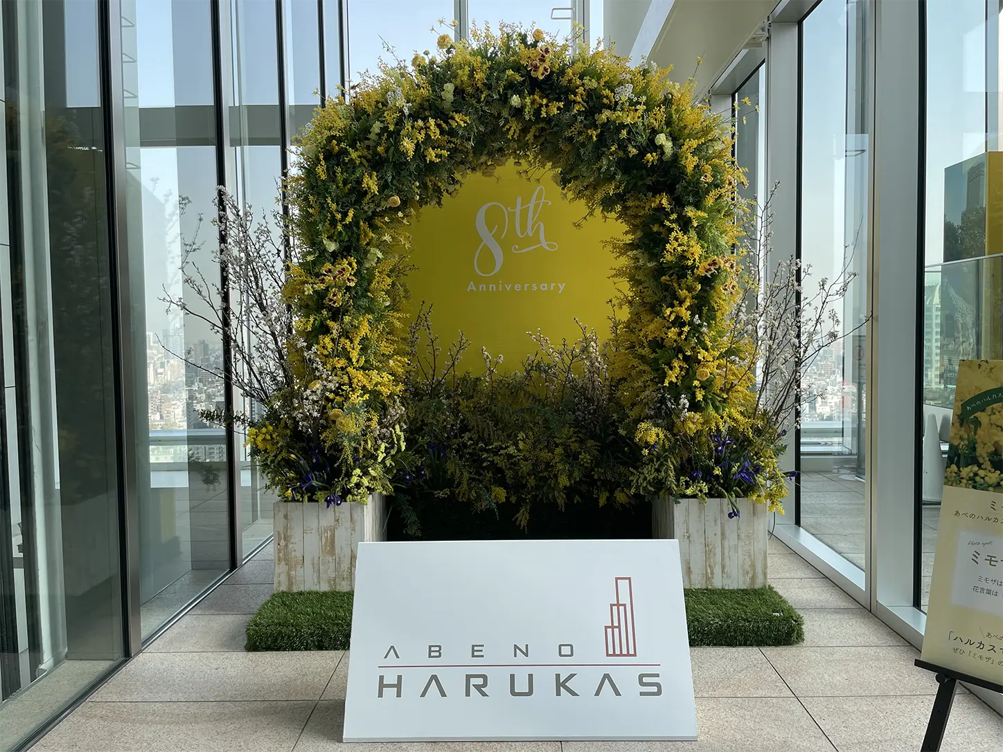 ミモザのフォトスポット