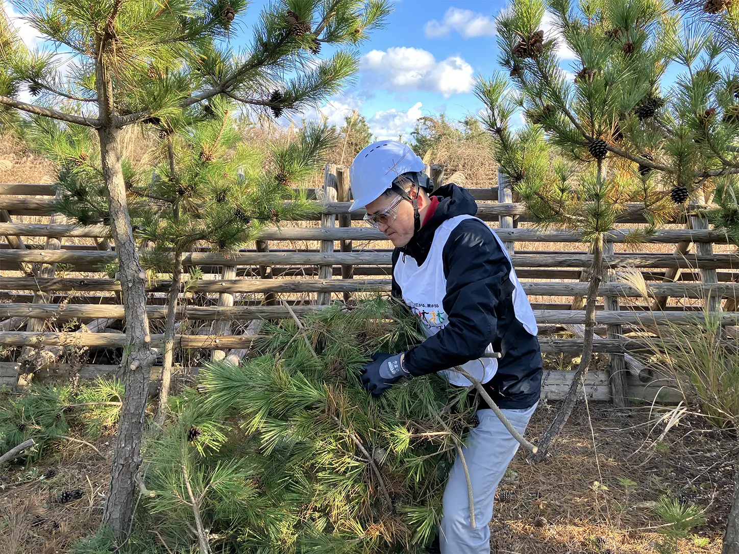 わたりグリーンベルトプロジェクトの様子