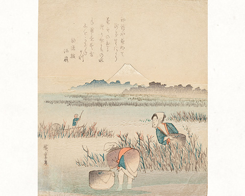 展示作品イメージ