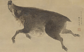 猪図　望月玉泉筆　個人蔵