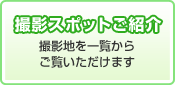 撮影スポット